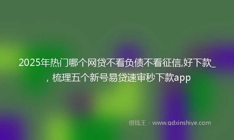 2025年热门哪个网贷不看负债不看征信,好下款_,梳理五个新号易贷速审秒下款app