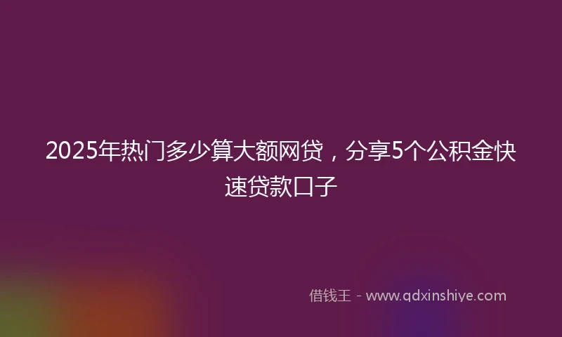 2025年热门多少算大额网贷，分享5个公积金快速贷款口子