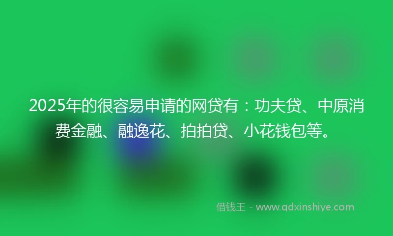2025年的很容易申请的网贷有：功夫贷、中原消费金融、融逸花、拍拍贷、小花钱包等。