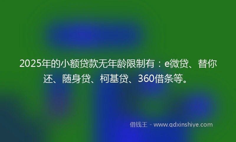 2025年的小额贷款无年龄限制有：e微贷、替你还、随身贷、柯基贷、360借条等。