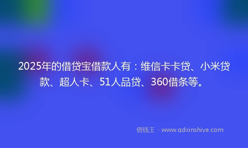 2025年的借贷宝借款人有：维信卡卡贷、小米贷款、超人卡、51人品贷、360借条等。