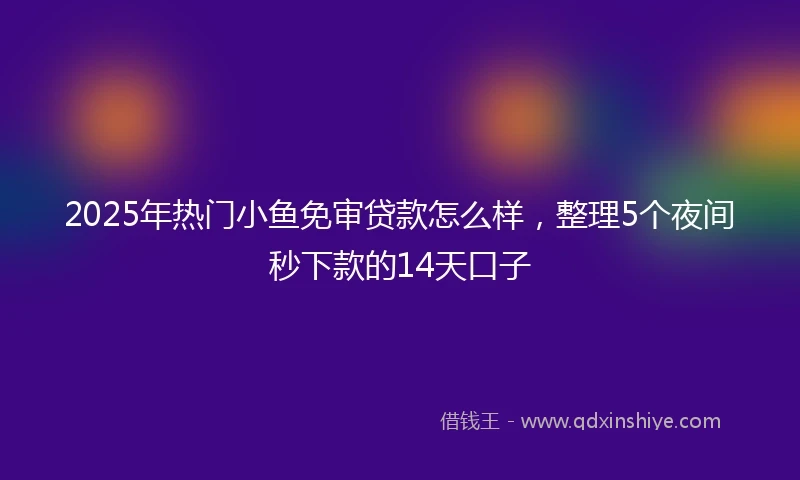 2025年热门小鱼免审贷款怎么样，整理5个夜间秒下款的14天口子