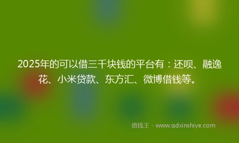 2025年的可以借三千块钱的平台有：还呗、融逸花、小米贷款、东方汇、微博借钱等。