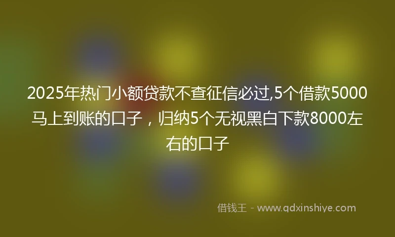 2025年热门小额贷款不查征信必过,5个借款5000马上到账的口子，归纳5个无视黑白下款8000左右的口子