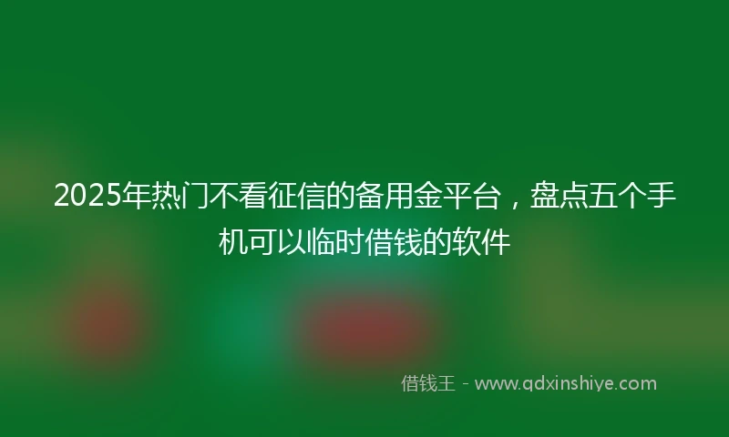 2025年热门不看征信的备用金平台，盘点五个手机可以临时借钱的软件