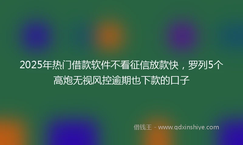 2025年热门借款软件不看征信放款快，罗列5个高炮无视风控逾期也下款的口子