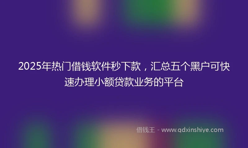 2025年热门借钱软件秒下款，汇总五个黑户可快速办理小额贷款业务的平台