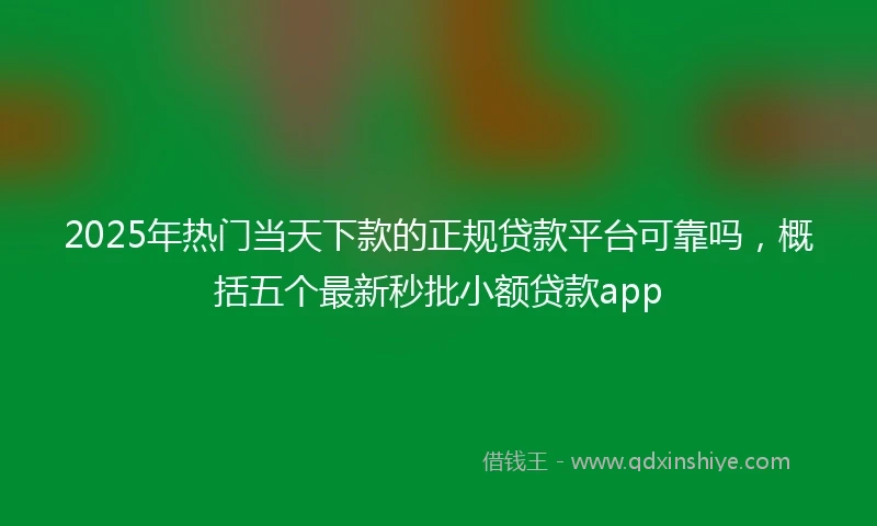 2025年热门当天下款的正规贷款平台可靠吗，概括五个最新秒批小额贷款app