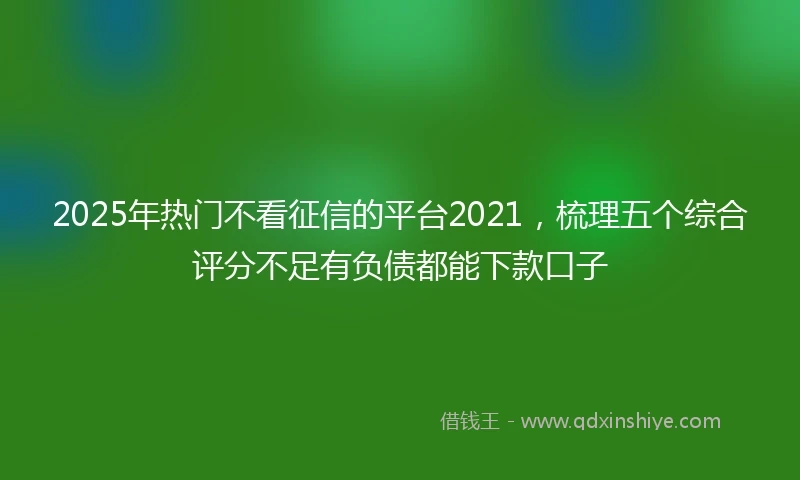 2025年热门不看征信的平台2021，梳理五个综合评分不足有负债都能下款口子