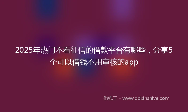 2025年热门不看征信的借款平台有哪些，分享5个可以借钱不用审核的app