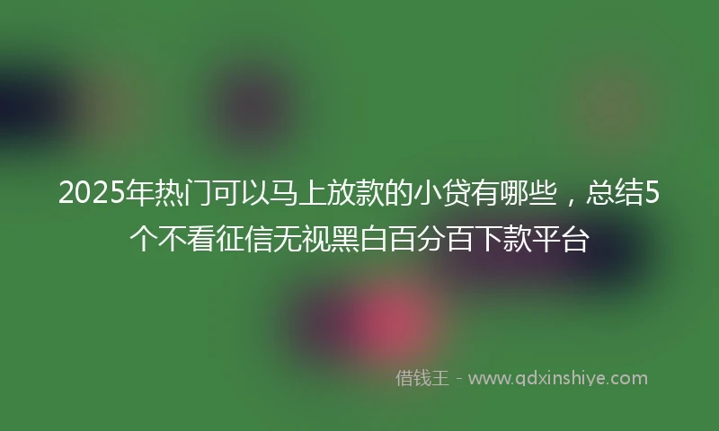2025年热门可以马上放款的小贷有哪些，总结5个不看征信无视黑白百分百下款平台