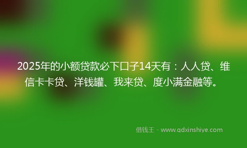 2025年的小额贷款必下口子14天有：人人贷、维信卡卡贷、洋钱罐、我来贷、度小满金融等。
