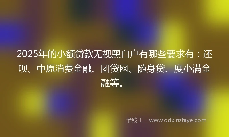 2025年的小额贷款无视黑白户有哪些要求有：还呗、中原消费金融、团贷网、随身贷、度小满金融等。