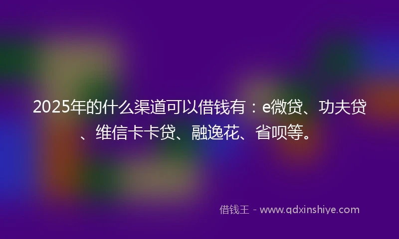 2025年的什么渠道可以借钱有：e微贷、功夫贷、维信卡卡贷、融逸花、省呗等。