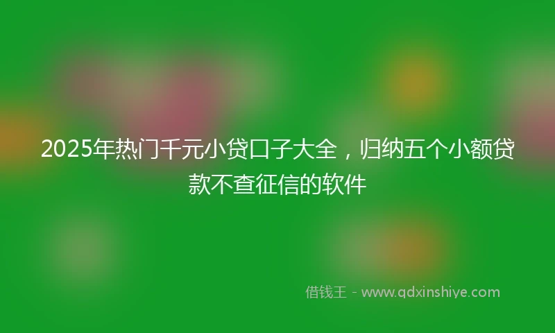 2025年热门千元小贷口子大全，归纳五个小额贷款不查征信的软件