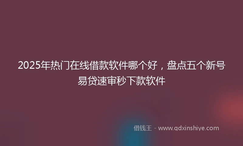 2025年热门在线借款软件哪个好，盘点五个新号易贷速审秒下款软件