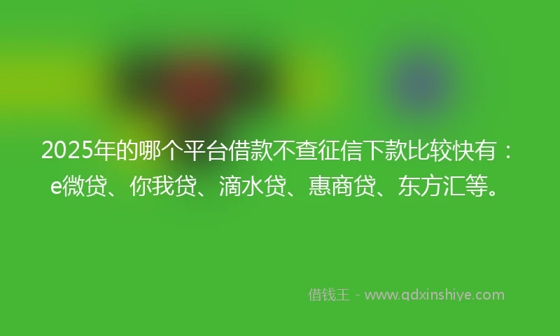 2025年的哪个平台借款不查征信下款比较快有：e微贷、你我贷、滴水贷、惠商贷、东方汇等。