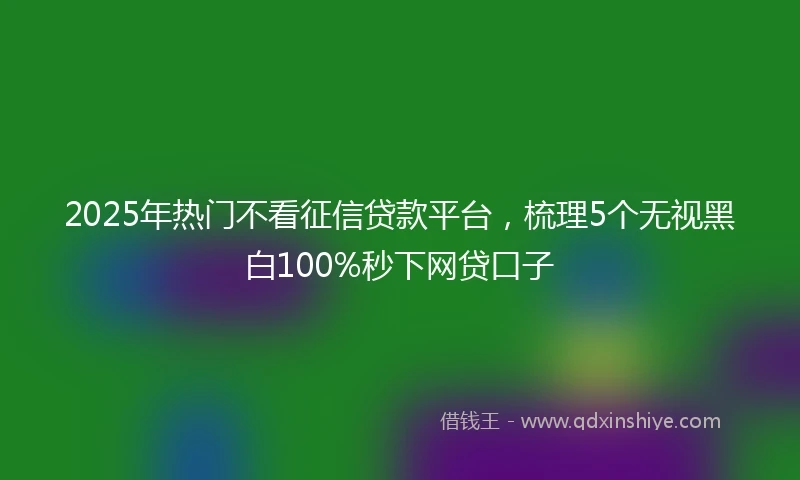 2025年热门不看征信贷款平台，梳理5个无视黑白100%秒下网贷口子