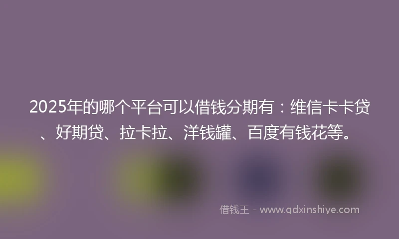 2025年的哪个平台可以借钱分期有：维信卡卡贷、好期贷、拉卡拉、洋钱罐、百度有钱花等。