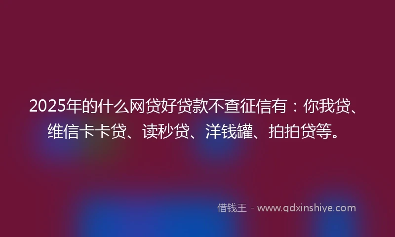 2025年的什么网贷好贷款不查征信有：你我贷、维信卡卡贷、读秒贷、洋钱罐、拍拍贷等。