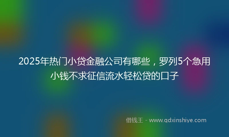 2025年热门小贷金融公司有哪些，罗列5个急用小钱不求征信流水轻松贷的口子