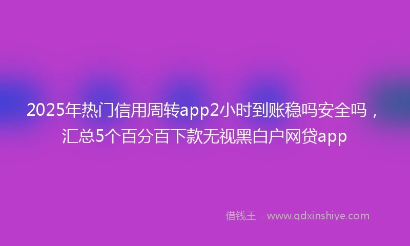 2025年热门信用周转app2小时到账稳吗安全吗，汇总5个百分百下款无视黑白户网贷app