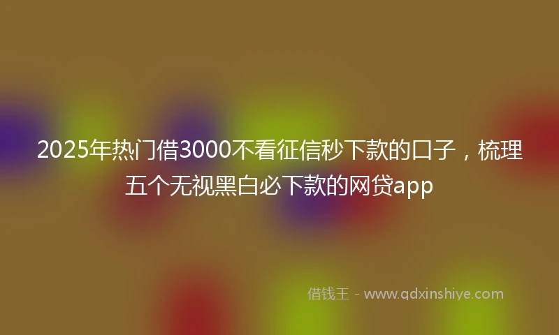 2025年热门借3000不看征信秒下款的口子，梳理五个无视黑白必下款的网贷app