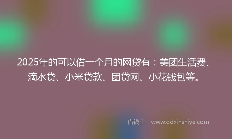 2025年的可以借一个月的网贷有：美团生活费、滴水贷、小米贷款、团贷网、小花钱包等。