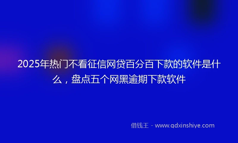 2025年热门不看征信网贷百分百下款的软件是什么，盘点五个网黑逾期下款软件