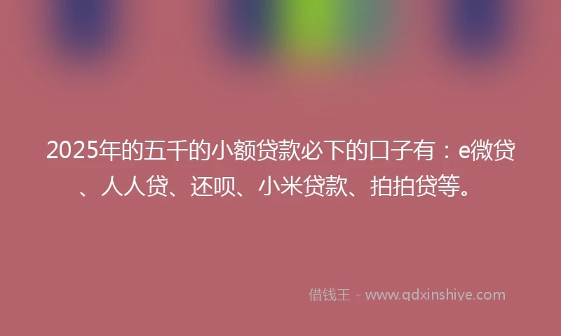2025年的五千的小额贷款必下的口子有：e微贷、人人贷、还呗、小米贷款、拍拍贷等。