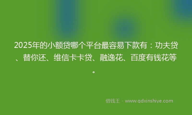 2025年的小额贷哪个平台最容易下款有：功夫贷、替你还、维信卡卡贷、融逸花、百度有钱花等。