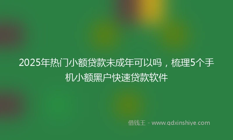 2025年热门小额贷款未成年可以吗，梳理5个手机小额黑户快速贷款软件