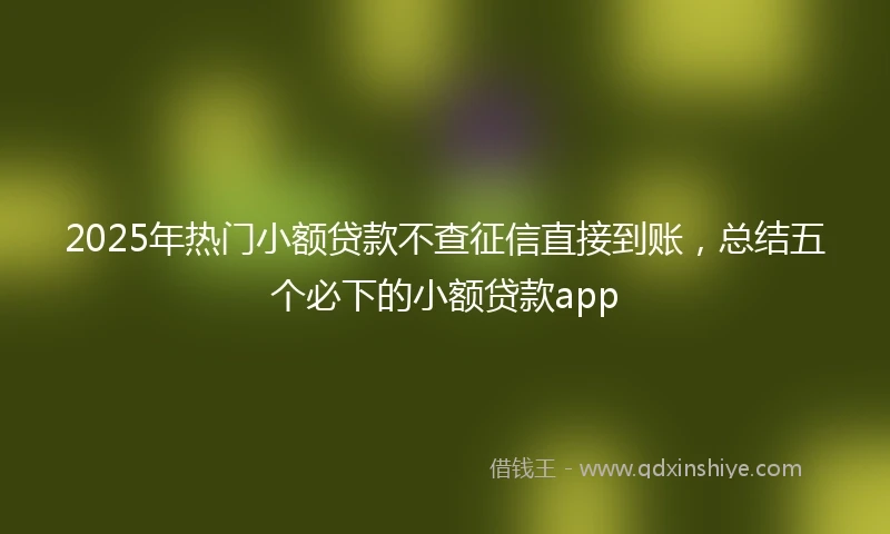 2025年热门小额贷款不查征信直接到账，总结五个必下的小额贷款app