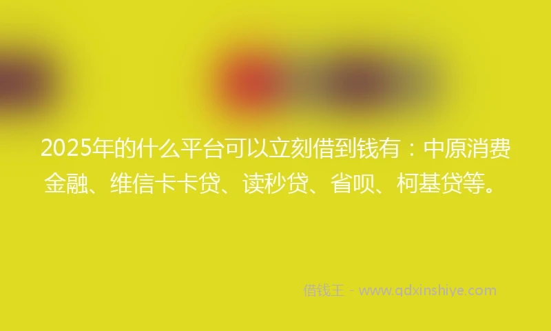 2025年的什么平台可以立刻借到钱有：中原消费金融、维信卡卡贷、读秒贷、省呗、柯基贷等。