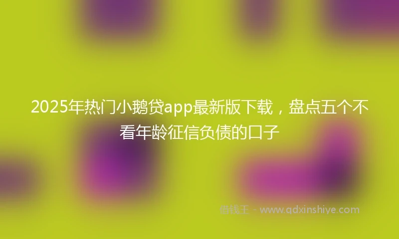 2025年热门小鹅贷app最新版下载，盘点五个不看年龄征信负债的口子