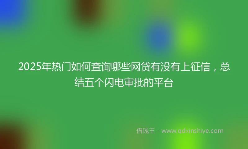 2025年热门如何查询哪些网贷有没有上征信,总结五个闪电审批的平台
