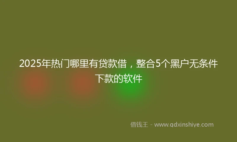 2025年热门哪里有贷款借，整合5个黑户无条件下款的软件