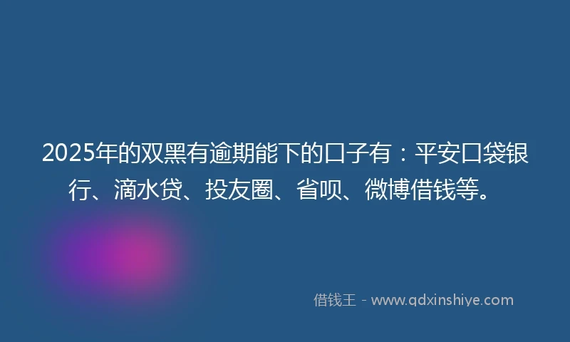 2025年的双黑有逾期能下的口子有：平安口袋银行、滴水贷、投友圈、省呗、微博借钱等。