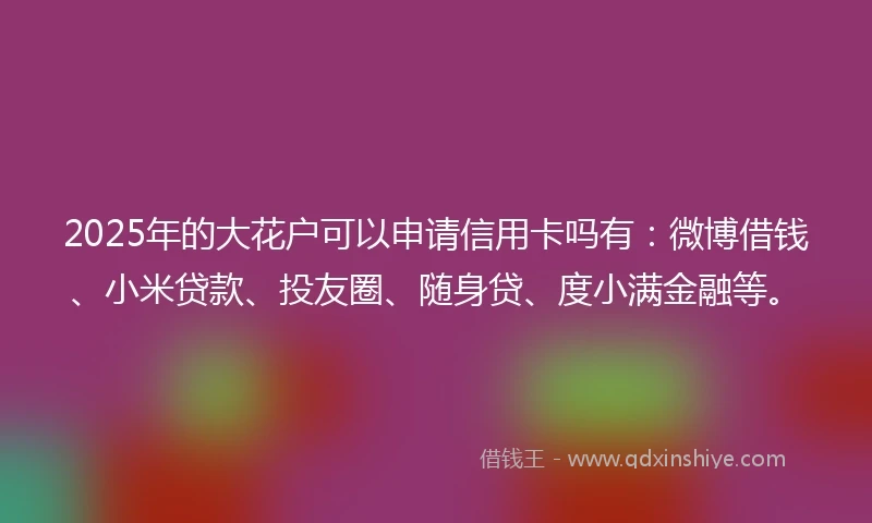 2025年的大花户可以申请信用卡吗有：微博借钱、小米贷款、投友圈、随身贷、度小满金融等。