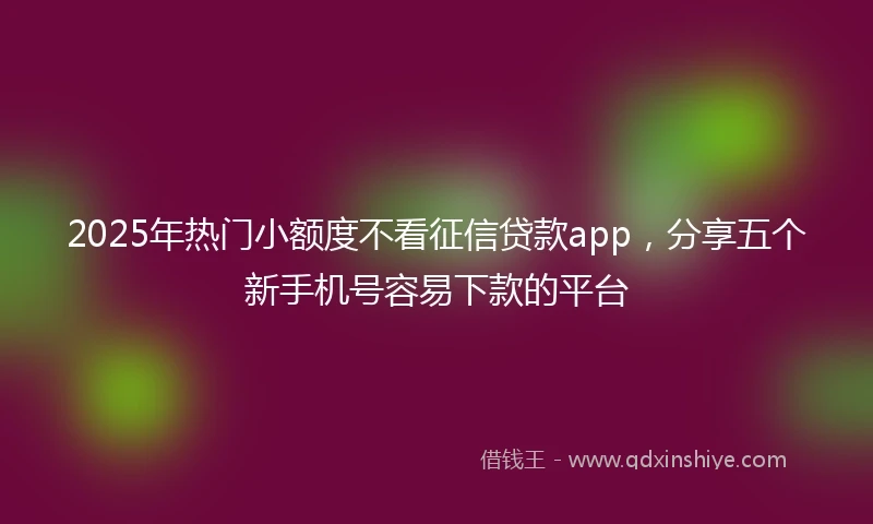 2025年热门小额度不看征信贷款app，分享五个新手机号容易下款的平台