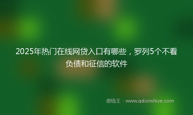 2025年热门在线网贷入口有哪些，罗列5个不看负债和征信的软件
