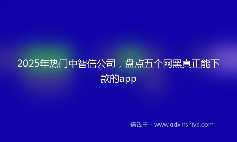 2025年热门中智信公司，盘点五个网黑真正能下款的app