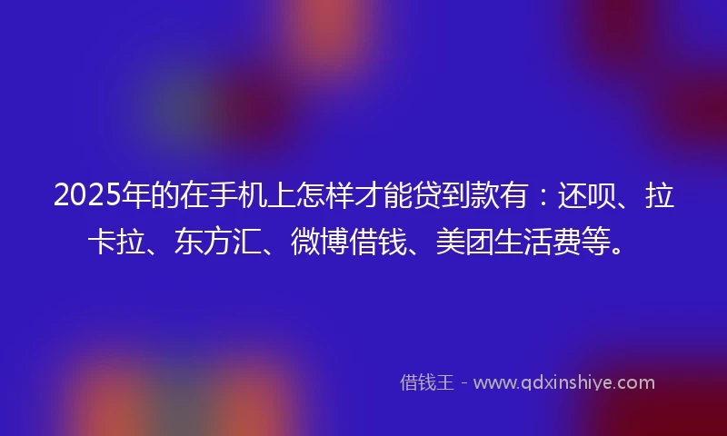 2025年的在手机上怎样才能贷到款有：还呗、拉卡拉、东方汇、微博借钱、美团生活费等。