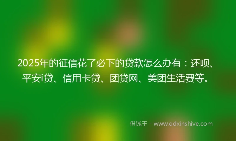 2025年的征信花了必下的贷款怎么办有：还呗、平安i贷、信用卡贷、团贷网、美团生活费等。