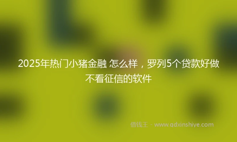2025年热门小猪金融 怎么样，罗列5个贷款好做不看征信的软件