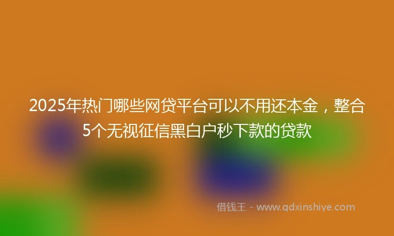 2025年热门哪些网贷平台可以不用还本金，整合5个无视征信黑白户秒下款的贷款
