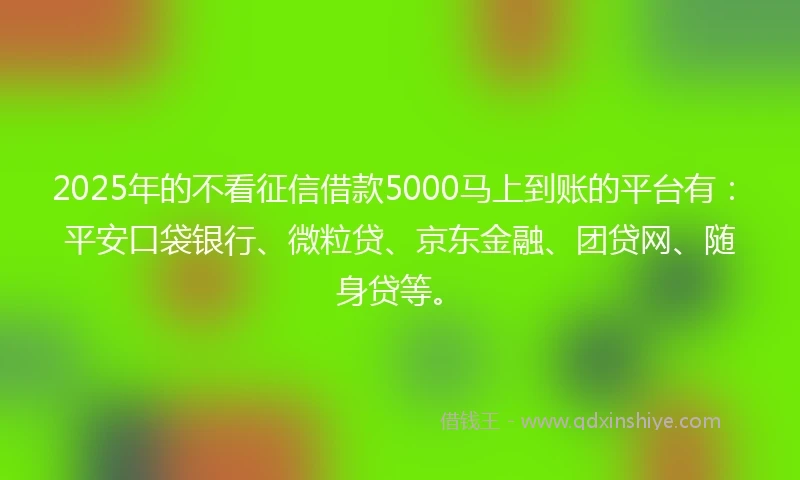 2025年的不看征信借款5000马上到账的平台有：平安口袋银行、微粒贷、京东金融、团贷网、随身贷等。