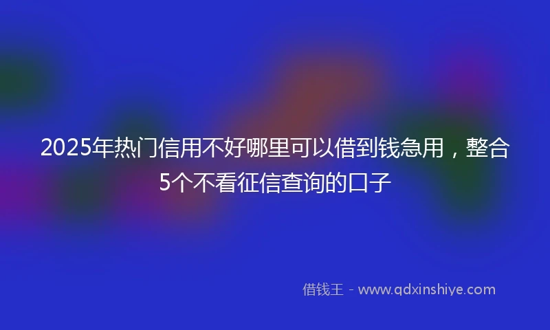 2025年热门信用不好哪里可以借到钱急用，整合5个不看征信查询的口子