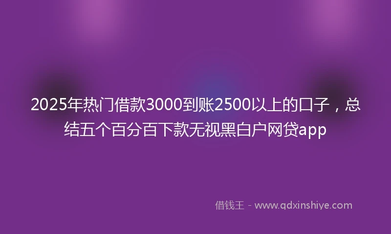 2025年热门借款3000到账2500以上的口子，总结五个百分百下款无视黑白户网贷app