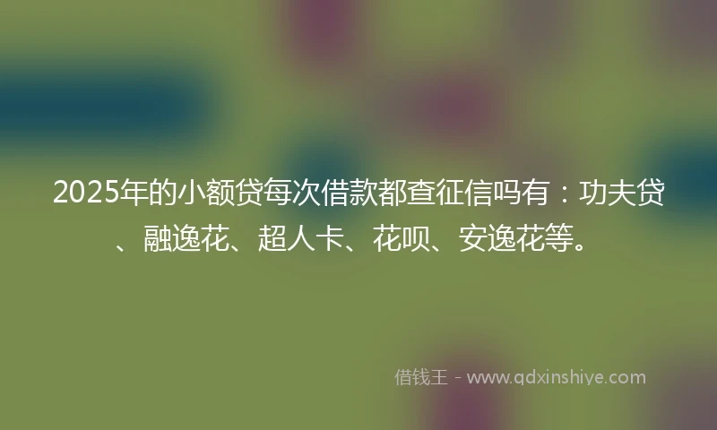 2025年的小额贷每次借款都查征信吗有：功夫贷、融逸花、超人卡、花呗、安逸花等。